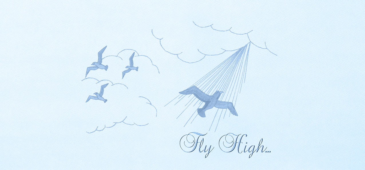 Gone Home Blue Faux (Fly High) PROOF